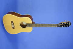 Thum Epiphone Expedition travel guitar, image 2