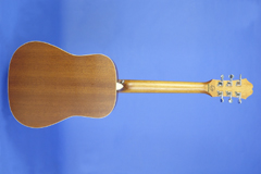 Thum Epiphone Expedition travel guitar, image 3