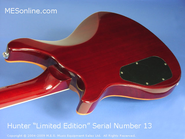 Hunter LE Electric Guitar Close Back-N View