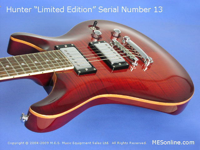 Hunter LE Electric Guitar Close Yop-N View