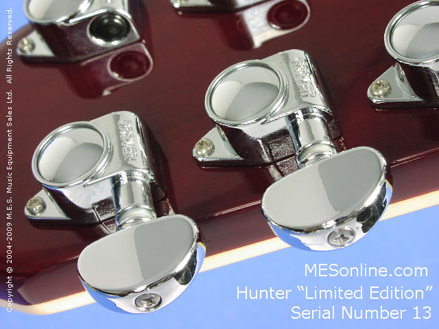 Hunter LE Electric Guitar Machine Heads View