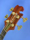 Olivo Head Front-2