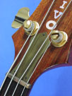 Olivo Bass Brass Nut