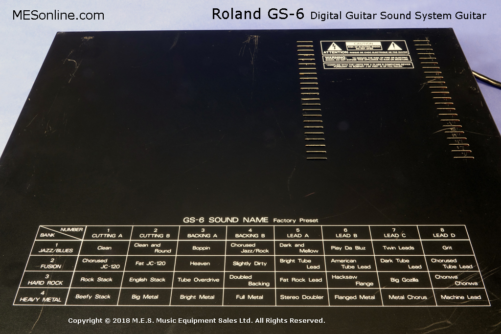 Roland GS-6 Preamp, image 6